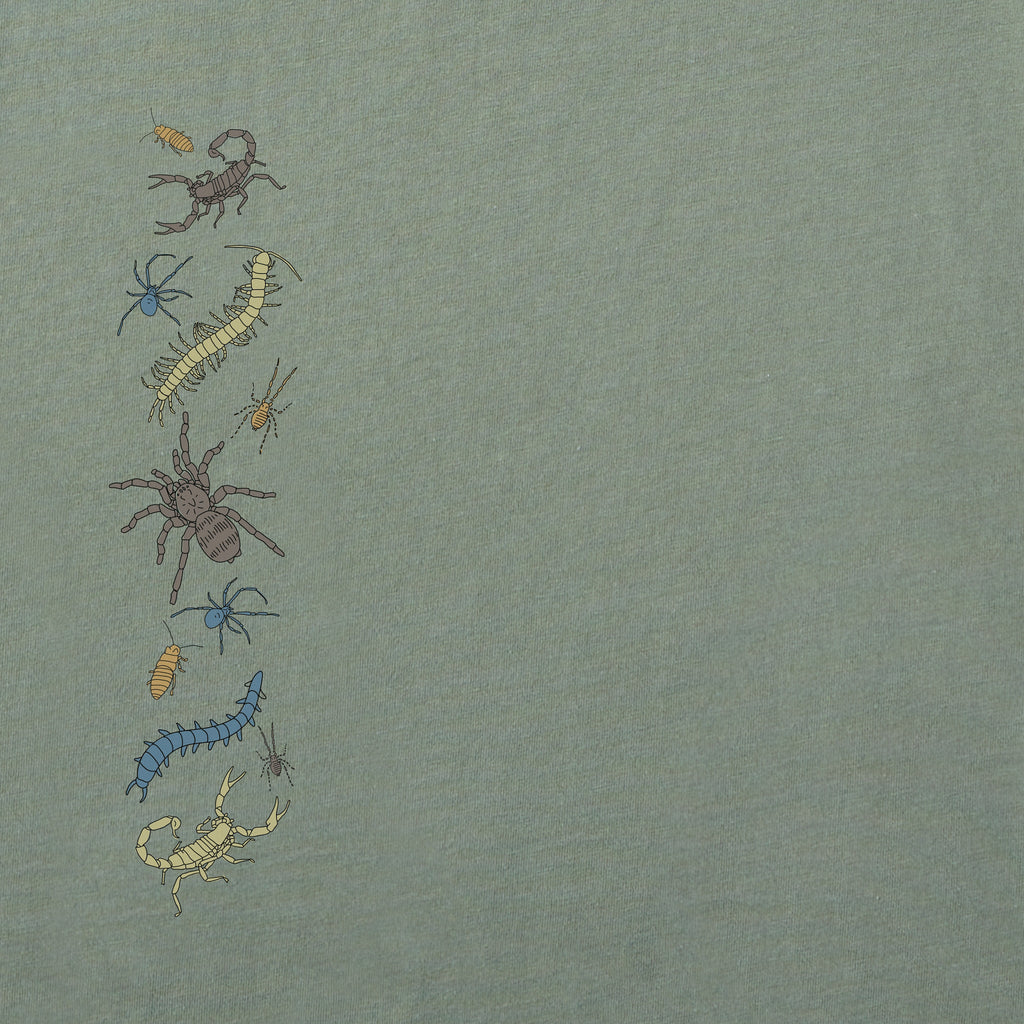 Women's Creep it Real Bugs Long Sleeve Crusher Tee product image 3