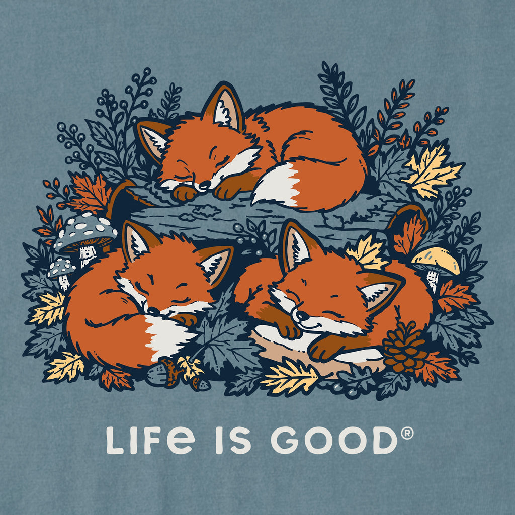 Women's Sleeping Foxes Short Sleeve Crusher Boxy Tee product image 2