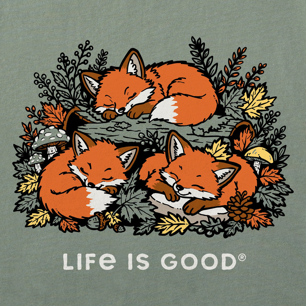 Kids Sleeping Foxes Short Sleeve Crusher Tee product image 2