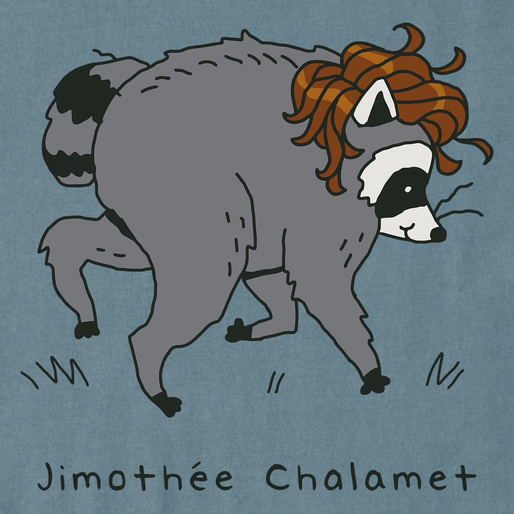 Women's Jimothee Chalamet Short Sleeve Crusher Boxy Tee product image 6