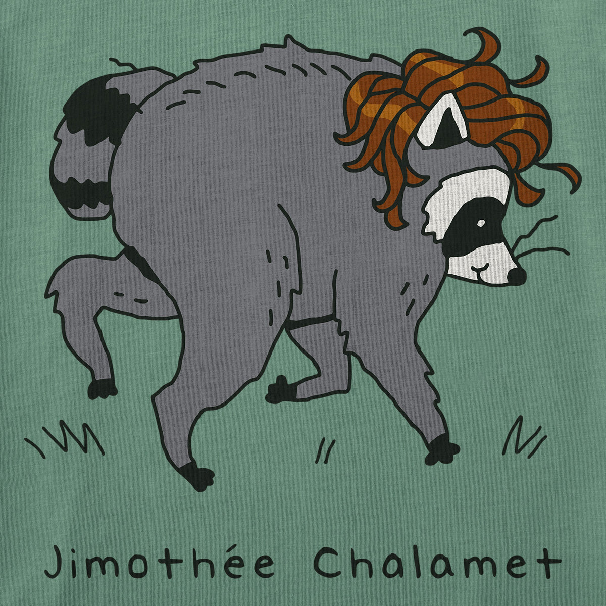 Women's Jimothee Chalamet Crusher-LITE Shrunken Tee product image 2