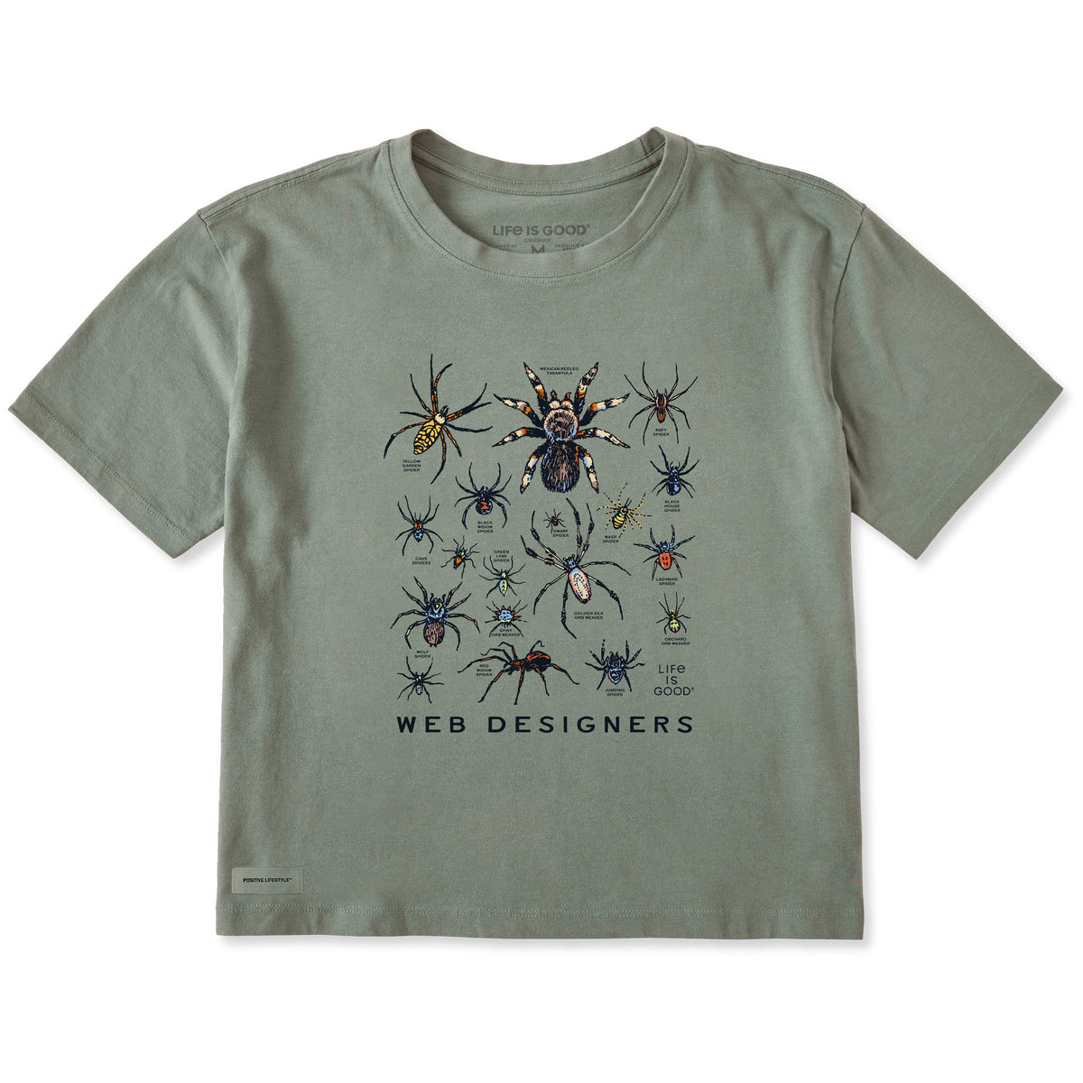 Women's Web Designers Short Sleeve Crusher Boxy Tee product image 1