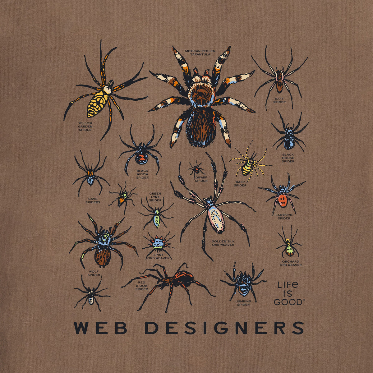 Women's Web Designers Short Sleeve Crusher Boxy Tee product image 2
