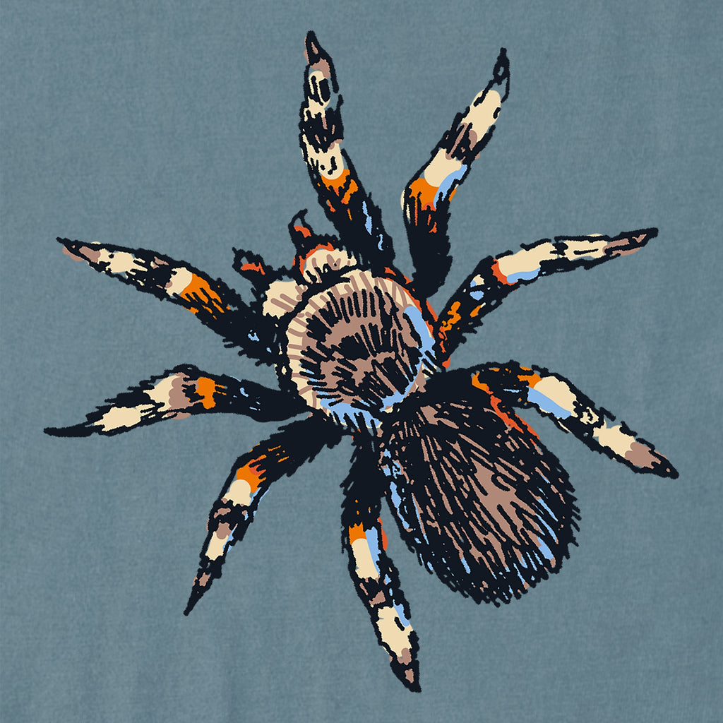 Women's Spooky Spider Short Sleeve Crusher Boxy Tee product image 2