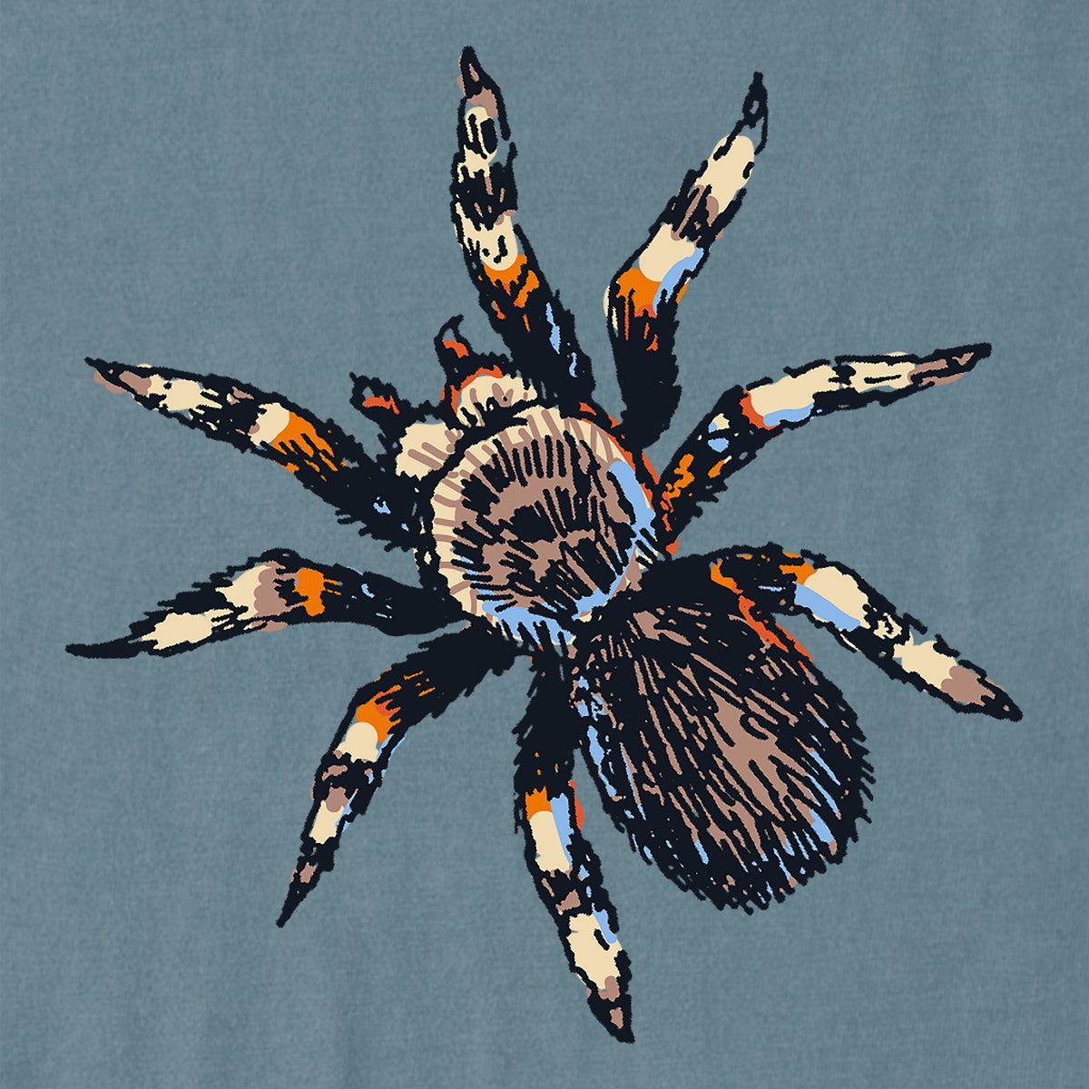 Women's Spooky Spider Short Sleeve Crusher Boxy Tee product image 2