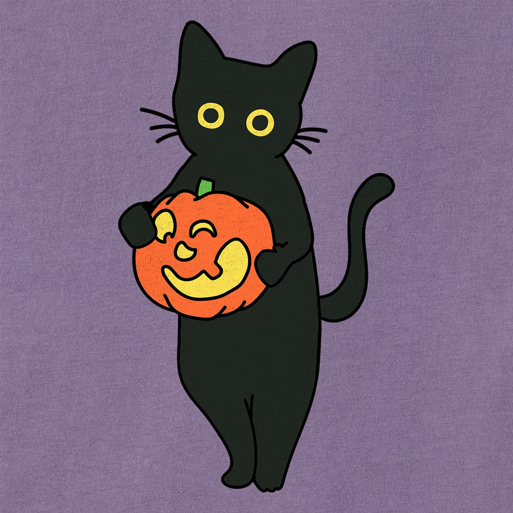 Women's Lil Pumpkin Cat Short Sleeve Crusher Boxy Tee product image 2