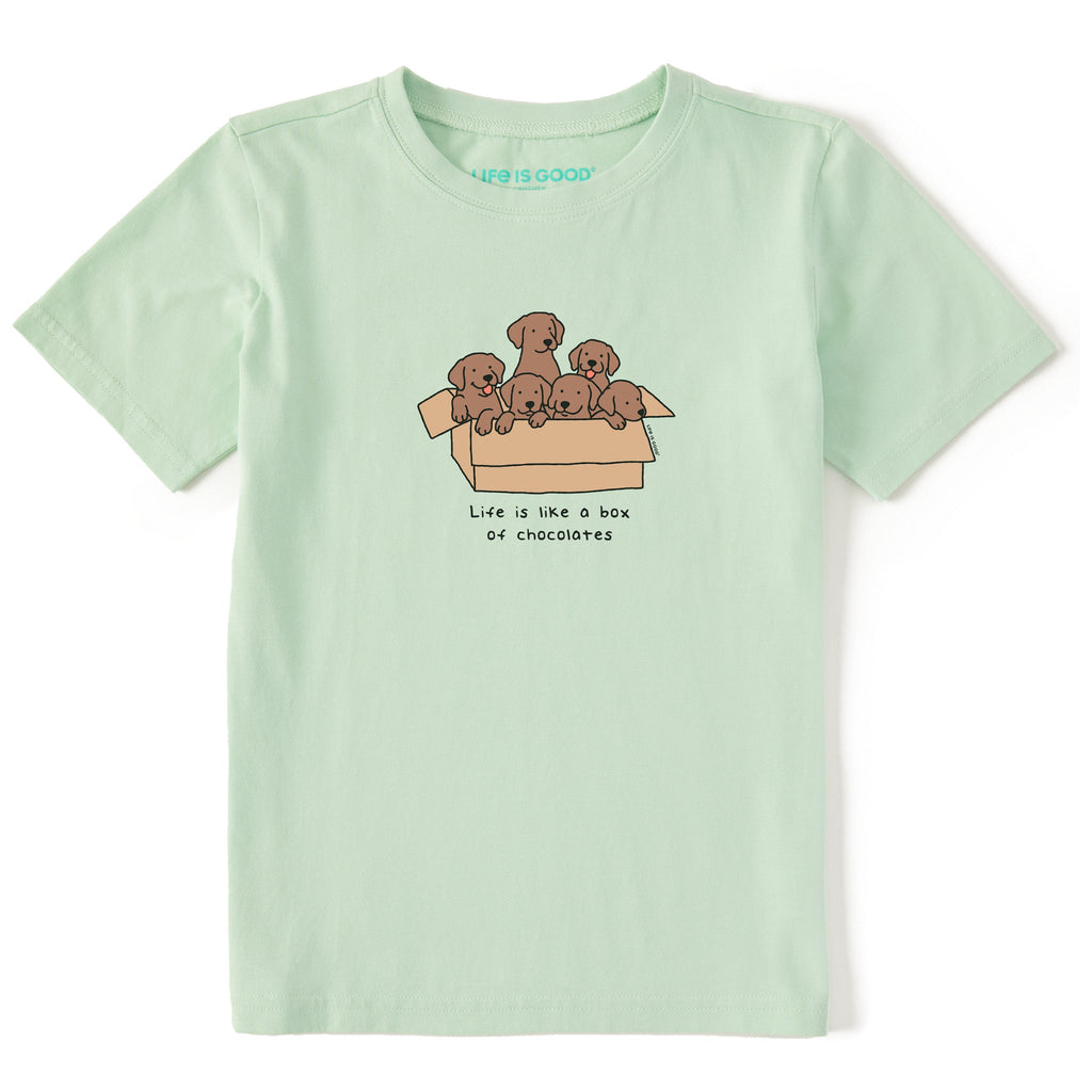 Kids Box Of Chocolate Labs Short Sleeve Crusher Tee product image 1