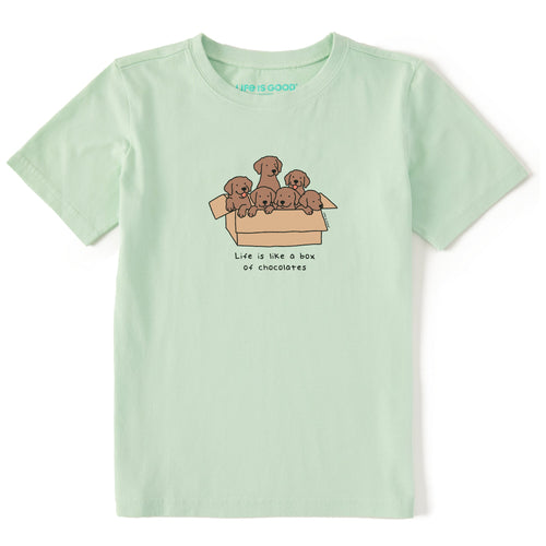 Kids Box Of Chocolate Labs Short Sleeve Crusher Tee product image 1