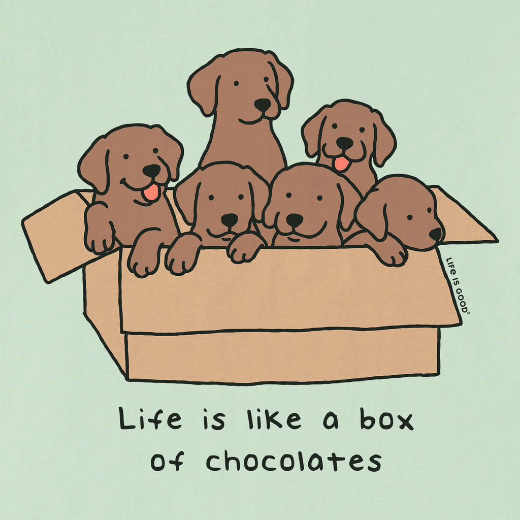 Kids Box Of Chocolate Labs Short Sleeve Crusher Tee product image 2