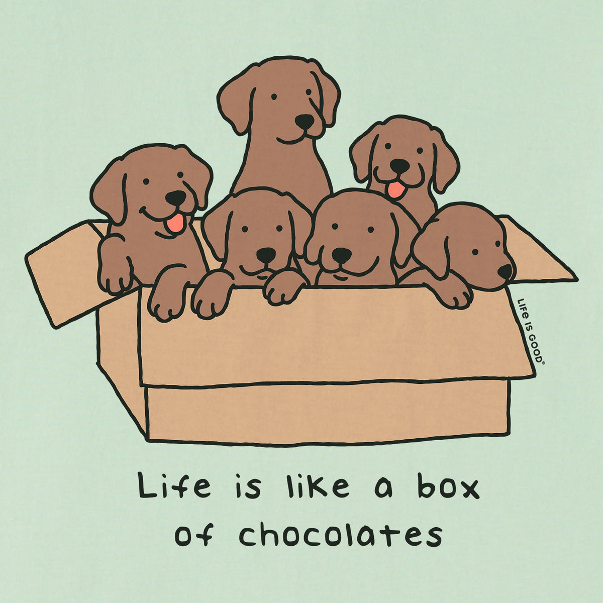 Kids Box Of Chocolate Labs Short Sleeve Crusher Tee product image 2