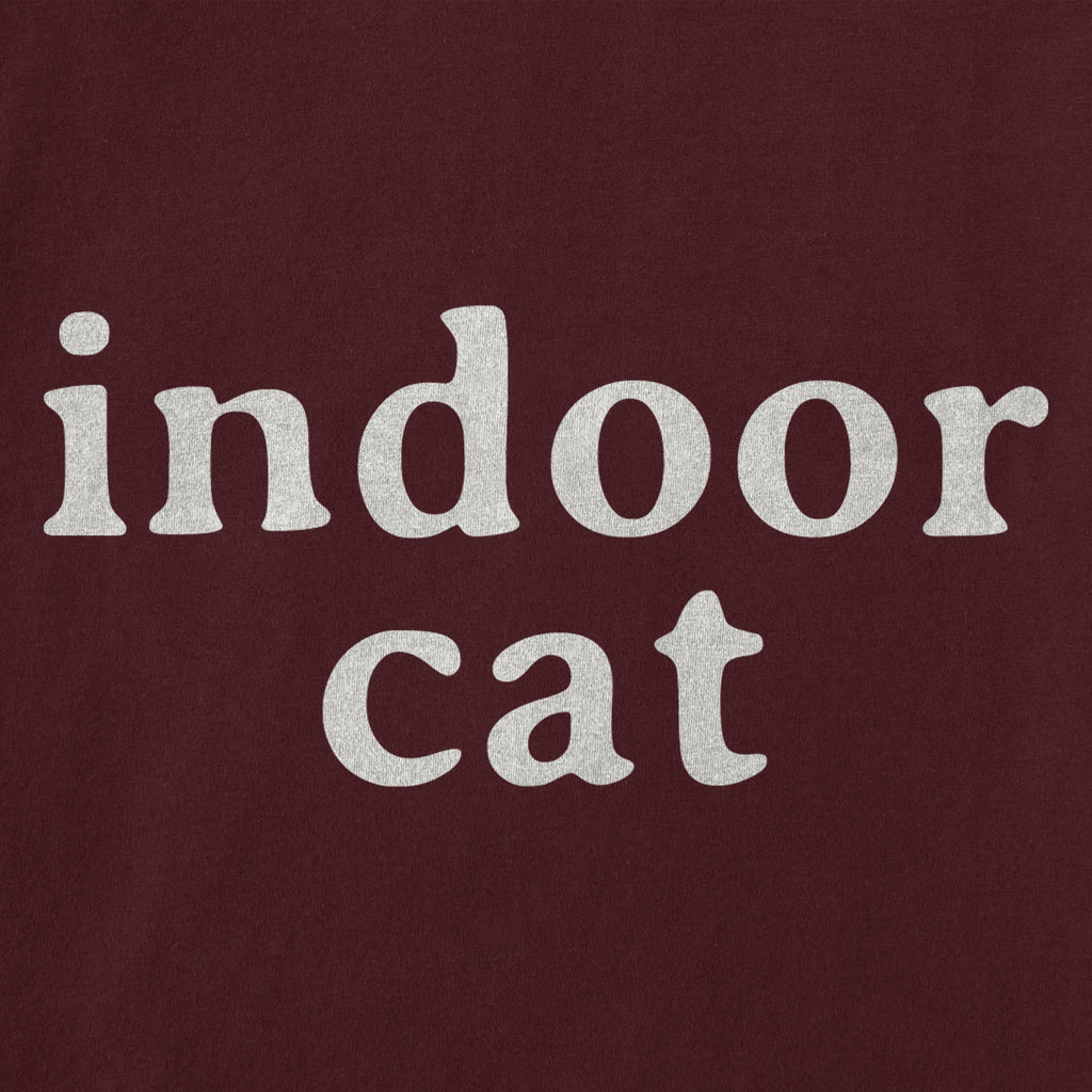 Women's Indoor Cat Short Sleeve Crusher Boxy Tee product image 2