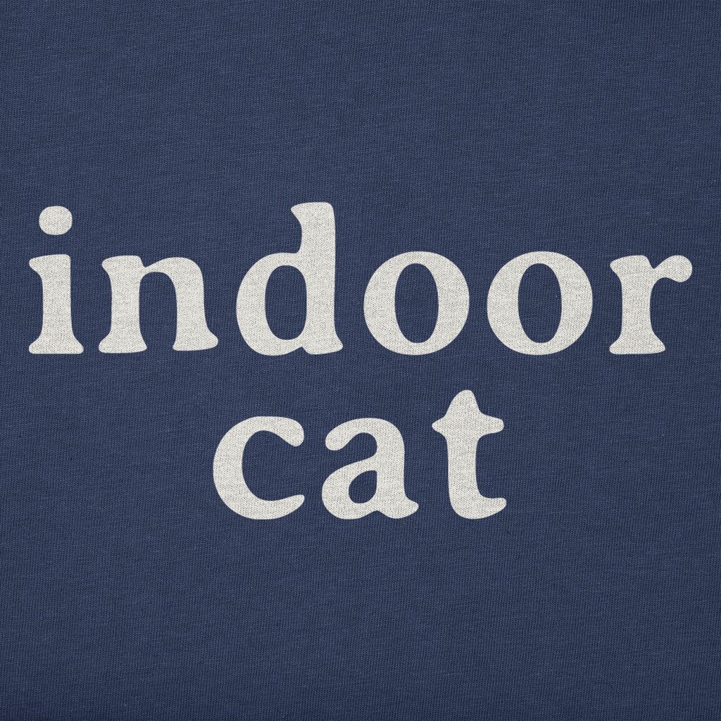 Women's Indoor Cat Short Sleeve Crusher Boxy Tee product image 4