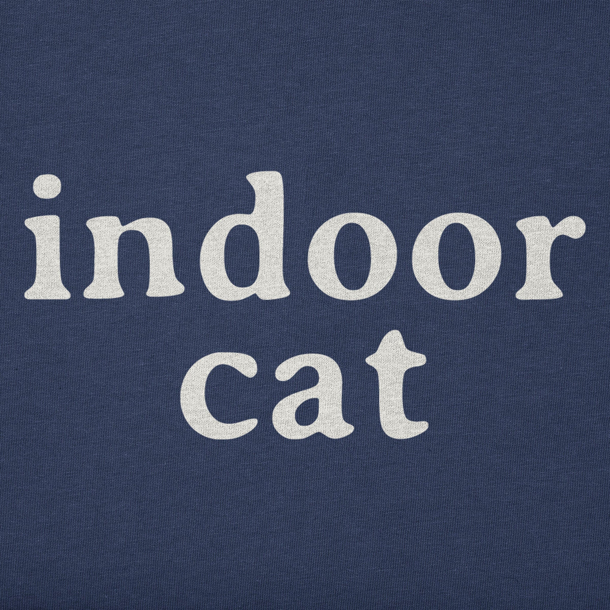 Women's Indoor Cat Short Sleeve Crusher Boxy Tee product image 4
