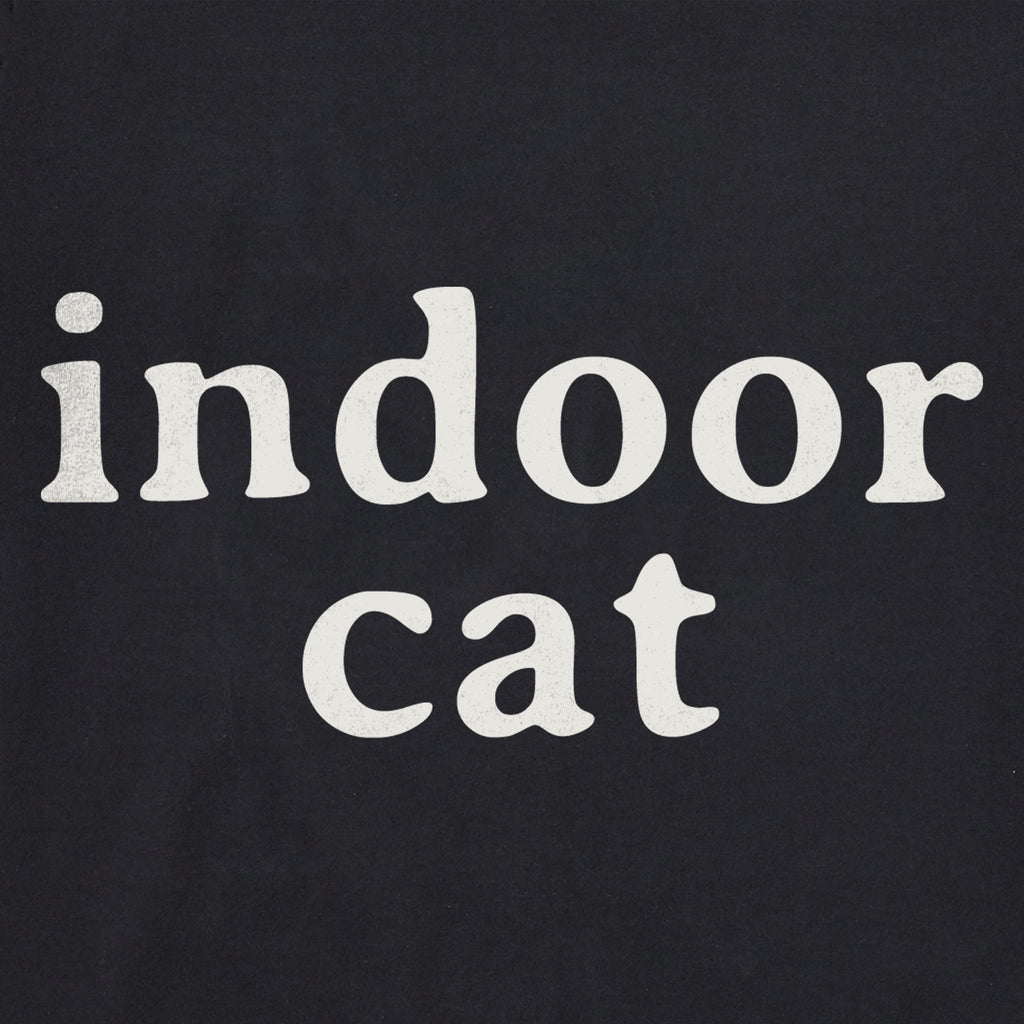 Women's Indoor Cat Crusher-LITE Shrunken Tee product image 2