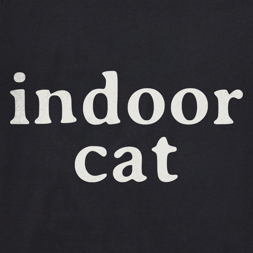 Men's Indoor Cat Short Sleeve Crusher Tee product image 2