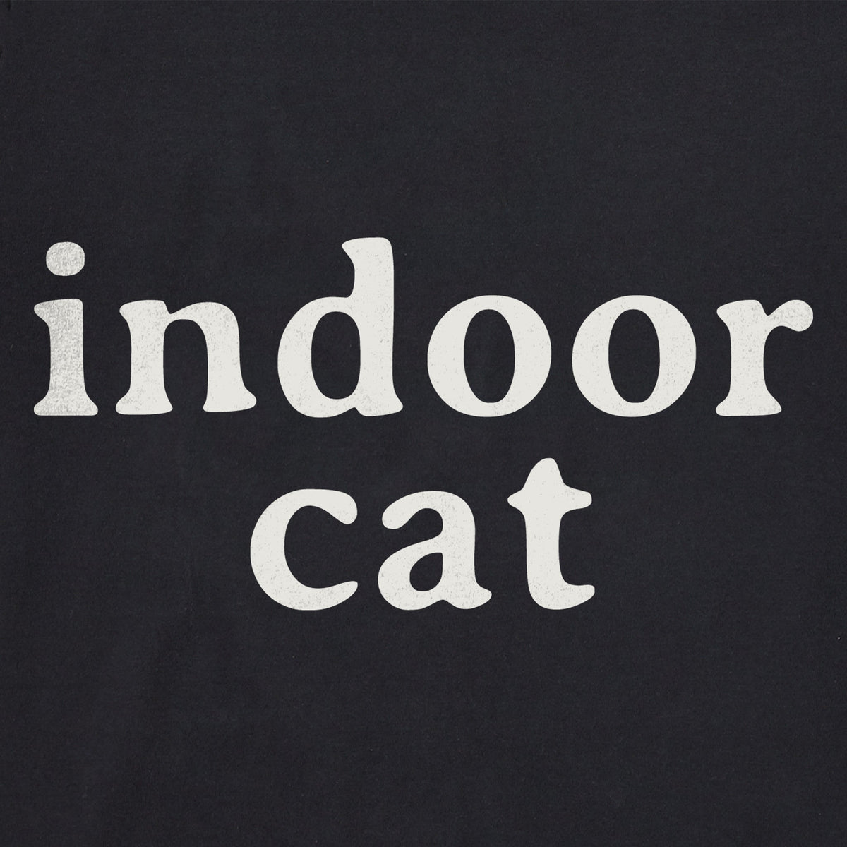 Men's Indoor Cat Short Sleeve Crusher Tee product image 2