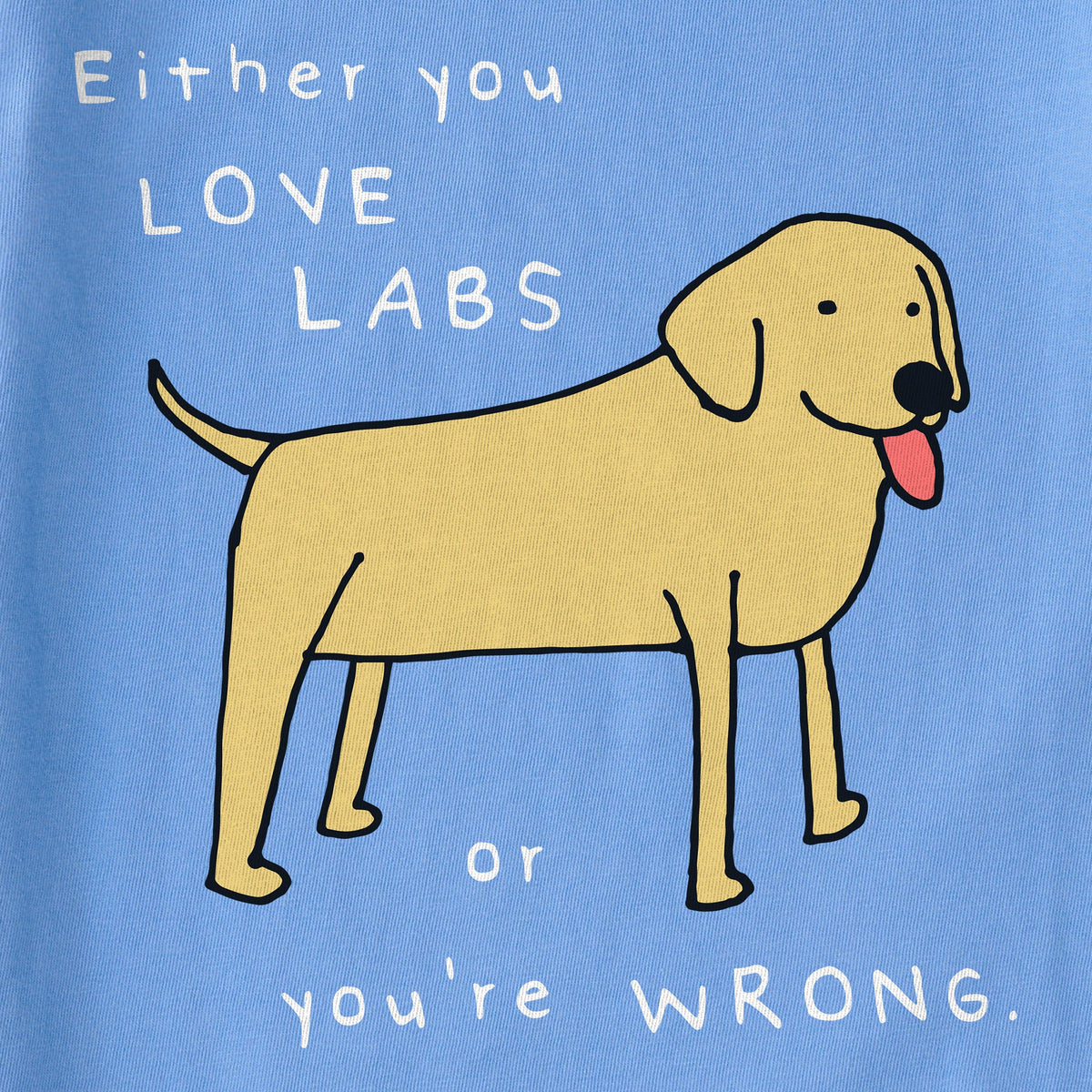 Kids Either You Love Labs Or You're Wrong Short Sleeve product image 2